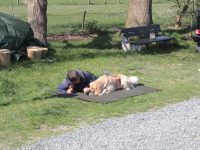 Hovi-Rallye 2015 in Haltern am See