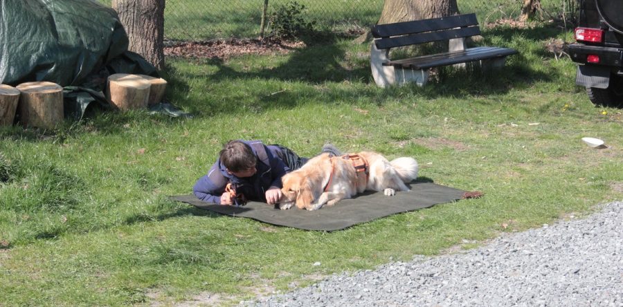 Hovi-Rallye 2015 in Haltern am See