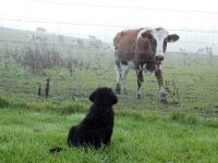 10. Wochenrückblick