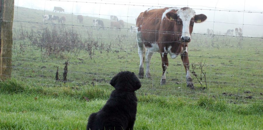 10. Wochenrückblick