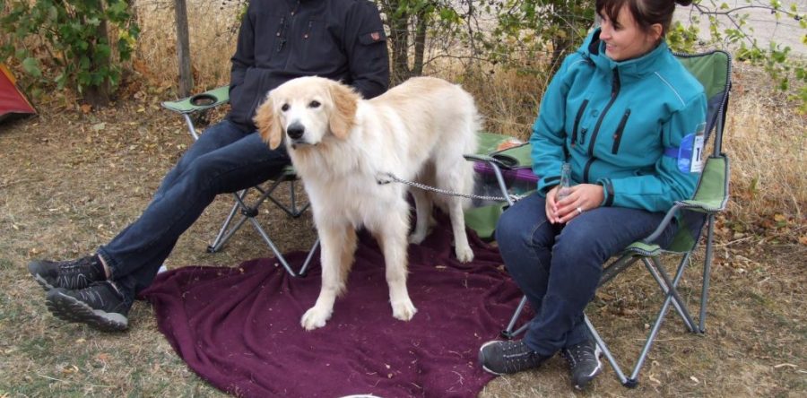 Anton beim Veranstaltungswochenende in Niederelvenich 22./23.09.2018