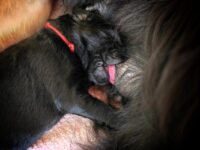 1. Woche  28.8. – 5.9.25