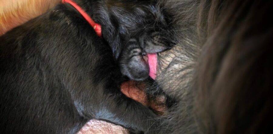 1. Woche 28.8. – 5.9.25