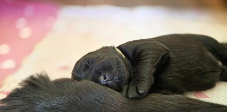 2. Woche 06.-12.09.25