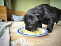 3. Woche 13.-19.09.25