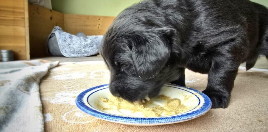 3. Woche 13.-19.09.25