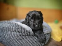 4. Woche 20.-26.09.25