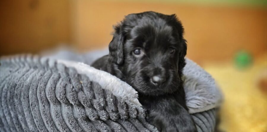 4. Woche 20.-26.09.25