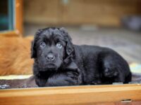 5. Woche 27.09.-03.10.25