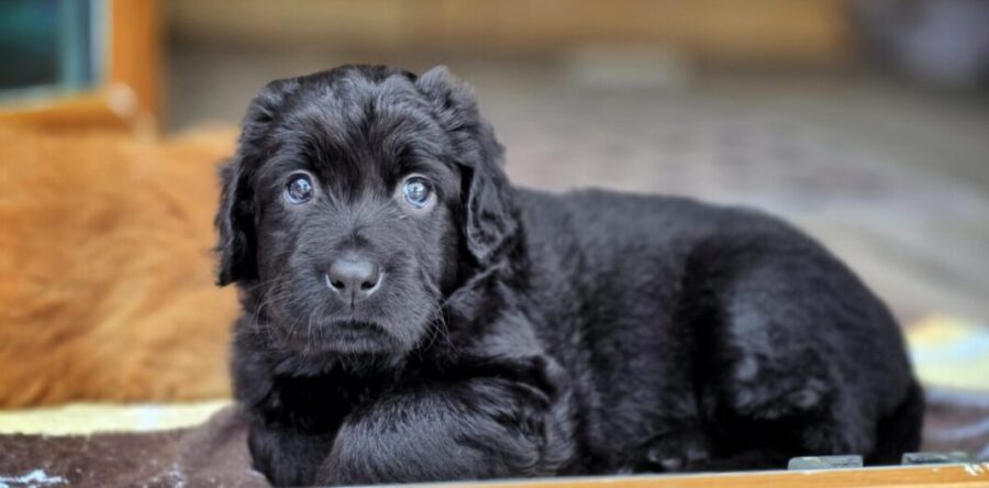 5. Woche 27.09.-03.10.25