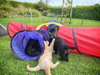 6. Woche 04.-10.10.25