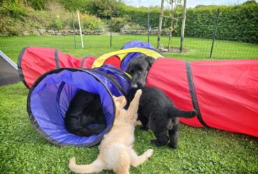 6. Woche 04.-10.10.25