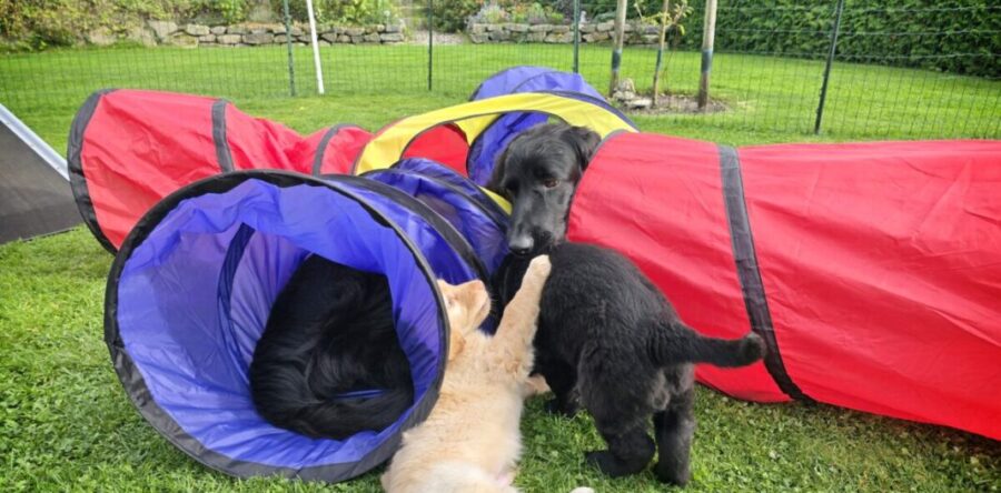 6. Woche 04.-10.10.25