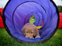 7. Woche 11.-17.10.25