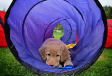 7. Woche 11.-17.10.25