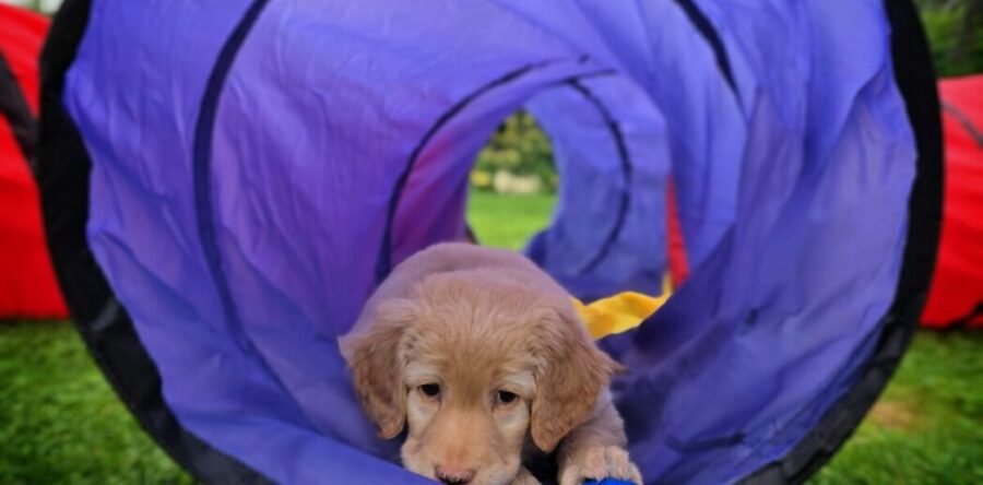 7. Woche 11.-17.10.25