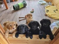 8. Woche 18.-24.10.25