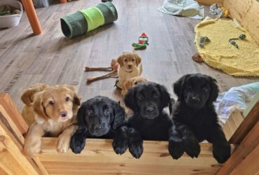 8. Woche 18.-24.10.25