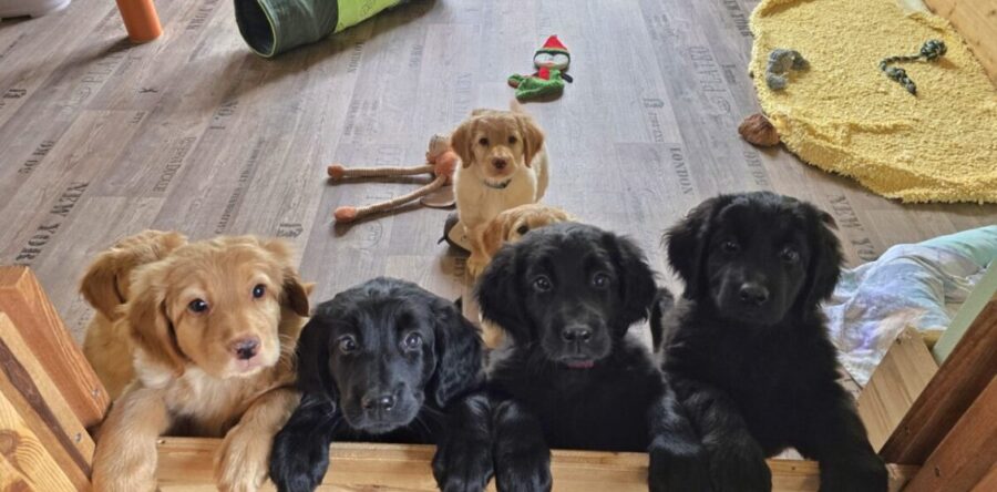 8. Woche 18.-24.10.25