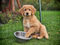 9. Woche 25.10. -….